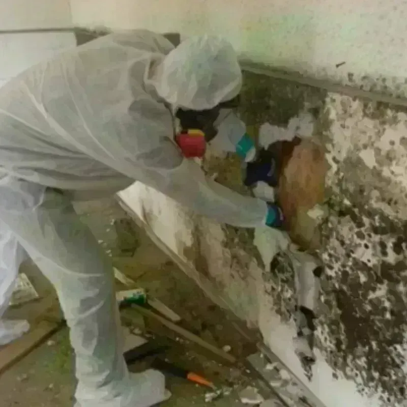 Mold Remediation and Removal in Hooper Bay, AK